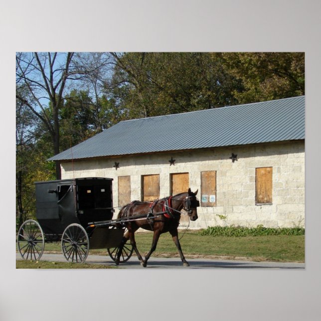 Amish Horse in Bentonsport, Iowa Poster (Front)