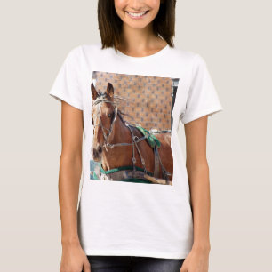 Amish Horse T-Shirt