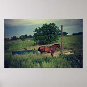 Amish Horse Waiting Poster