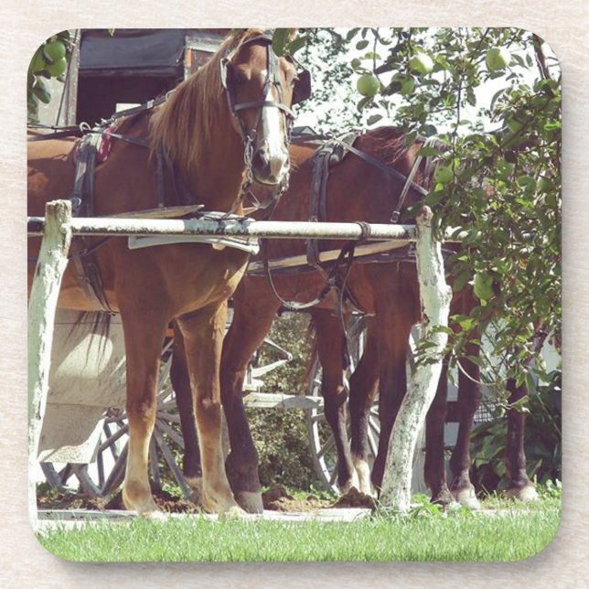 Amish Horses at the Hitching Post Around Apples Coaster (Front)