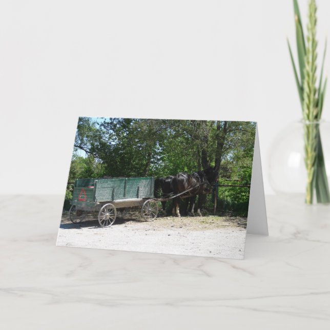 Amish Horses Card (Front)