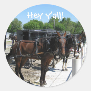 Amish Horses Say Hi! Classic Round Sticker