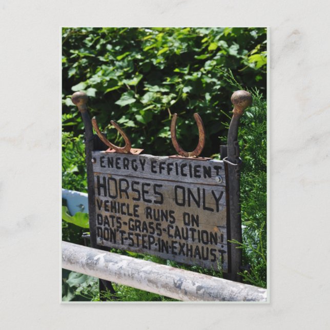 Amish Parking Postcard (Front)