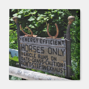 Amish Parking Sign Magnet