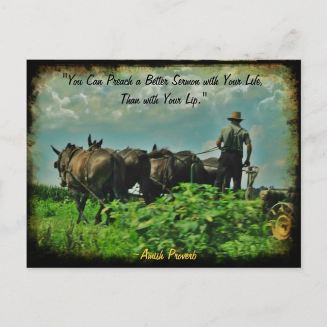 Amish Postcard. Proverb! Add Store or Your Name! Postcard (Front)