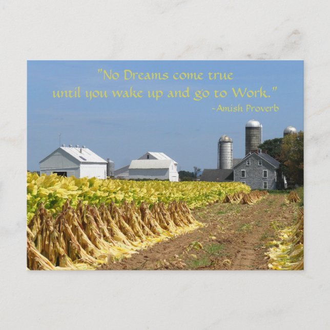 Amish Proverb. Dreams. Lancaster Lititz Postcard 2 (Front)