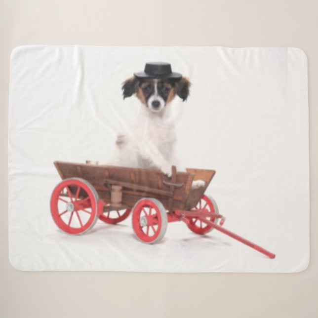 AMISH PUPPY SHERPA BLANKET (Front (Horizontal))
