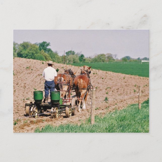 Amish Seed Spreader Postcard (Front)