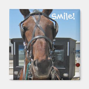 Amish Smile ;o) Magnet