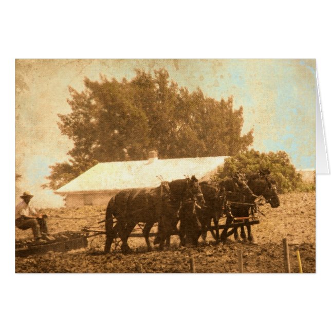 Amish Team (Front Horizontal)