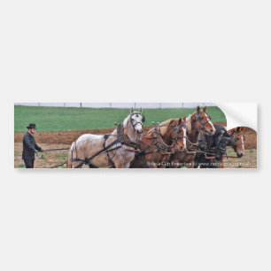 Amish Team Bumper Sticker