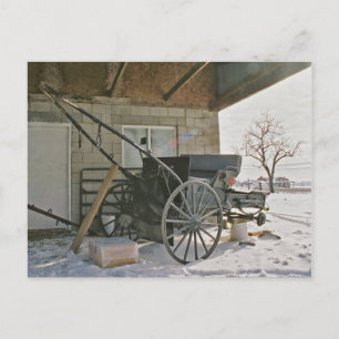 Amish Three Wheeler-Postcard Postcard