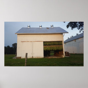 Amish Tobacco Barn/Pennsylvania Poster