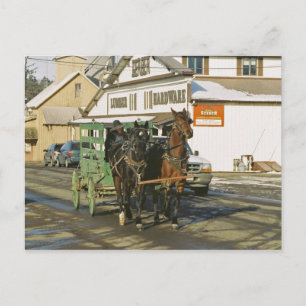 Amish U-Haul Team-Postcard Postcard