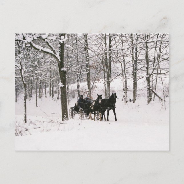 Amish Winter Snow Scene-Postcard Postcard (Front)