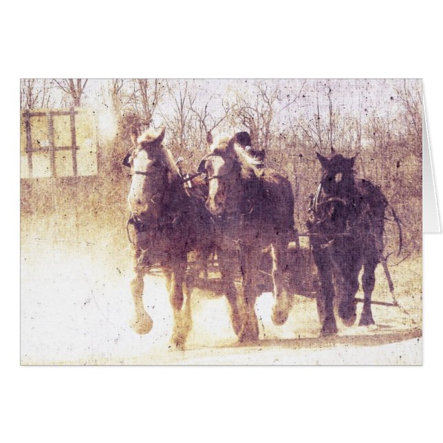 Amish Working Horses, Faux Vintage (Front Horizontal)