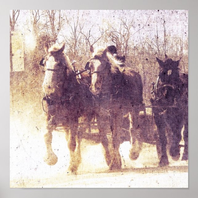 Amish Working Horses in Iowa Poster (Front)
