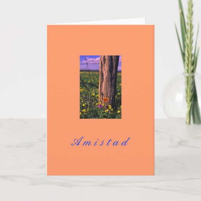 "Amistad" Holiday Card (Front)