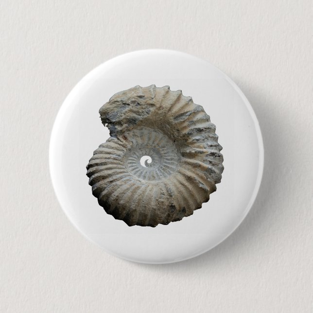 ammonite 6 cm round badge (Front)