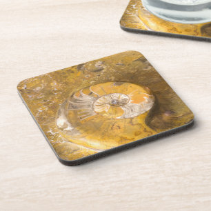 Ammonite and Fossils in Rock Nature Photography Coaster