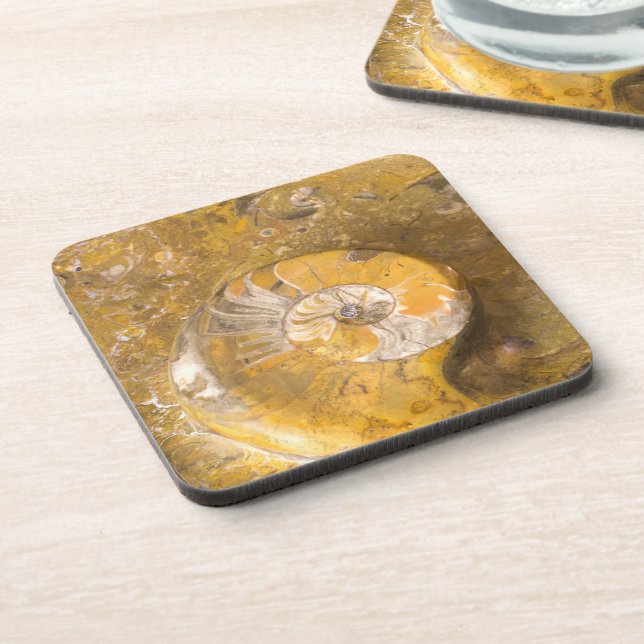 Ammonite and Fossils in Rock Nature Photography Coaster (Left Side)