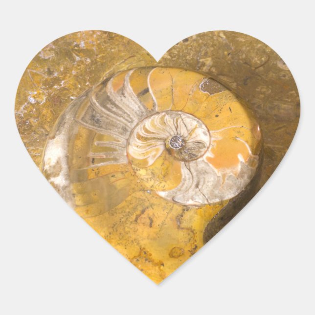 Ammonite and Other Fossils in Rock Photography Heart Sticker (Front)