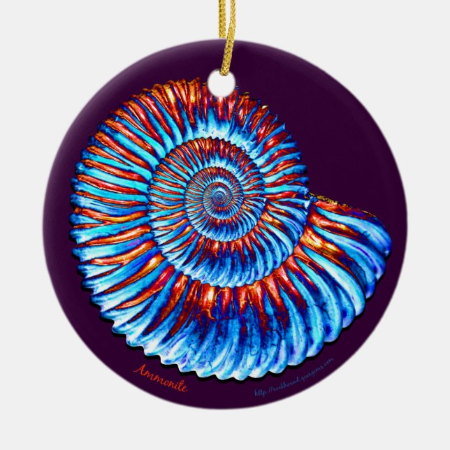 Ammonite Ceramic Tree Decoration (Front)