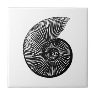 Ammonite Fossil Ceramic Tile