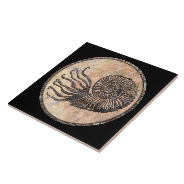 Ammonite Fossil Ceramic Tile (Side)