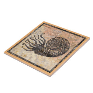 Ammonite Fossil Ceramic Tile