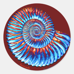 Ammonite fossil classic round sticker