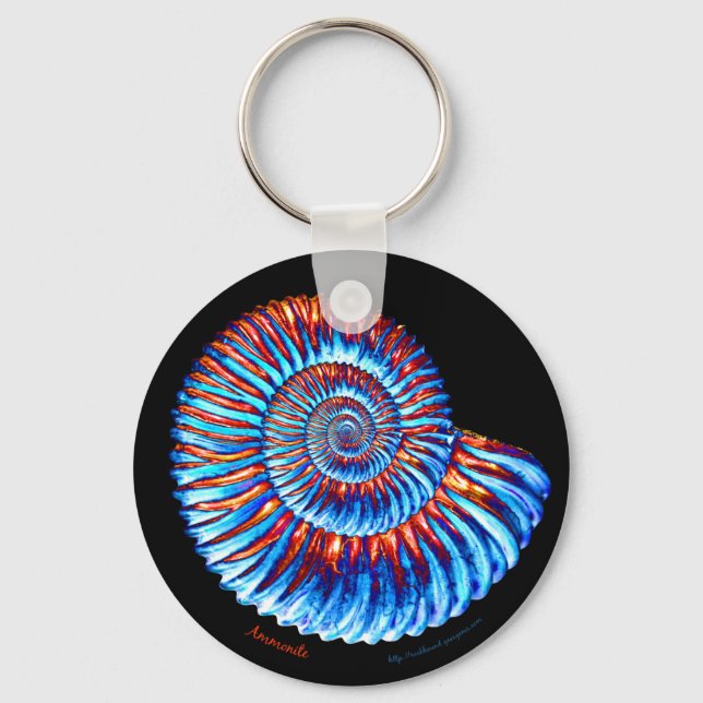 Ammonite fossil key ring (Front)