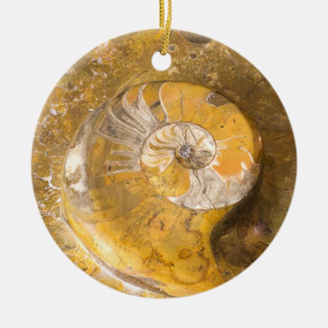 Ammonite Fossil Rock Nature Photography Ceramic Or Ornament (Front)