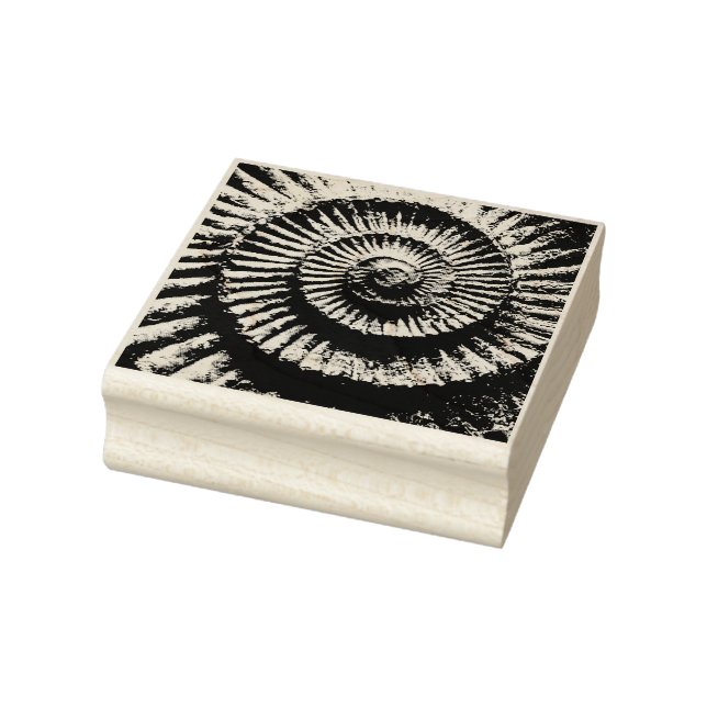 Ammonite fossil rubber stamp (Stamp)