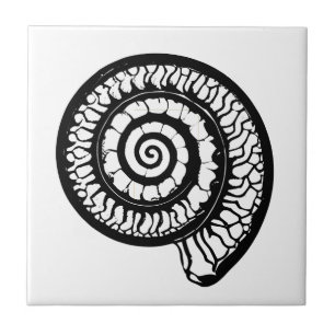 Ammonite Fossil - Spiral Seashell Ceramic Tile