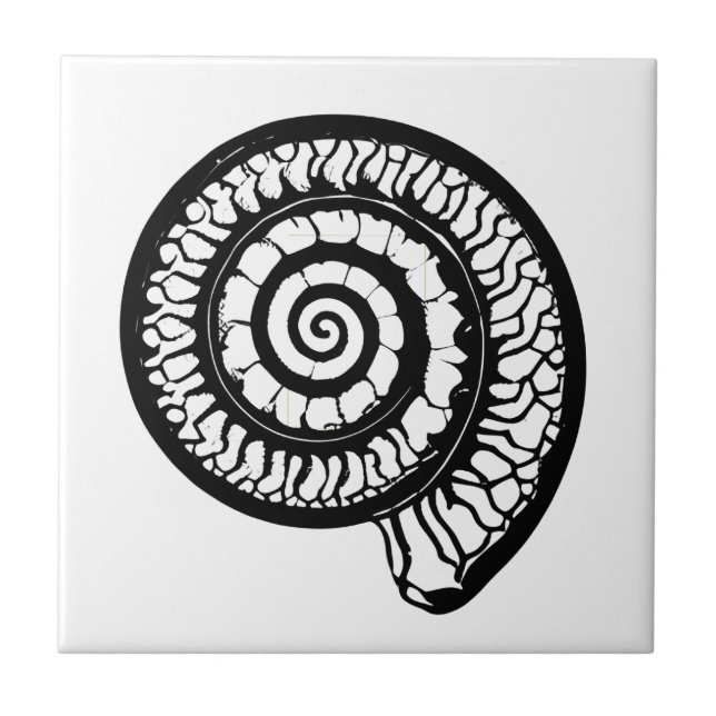 Ammonite Fossil - Spiral Seashell Ceramic Tile (Front)