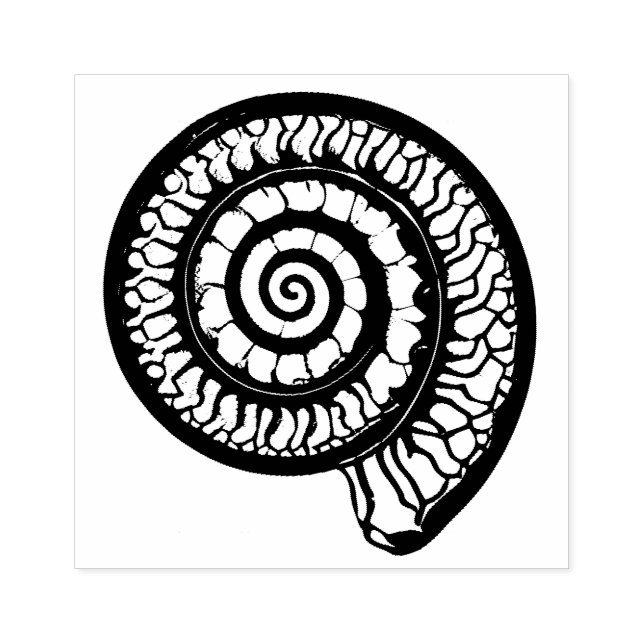 Ammonite Fossil - Spiral Seashell Rubber Stamp (Imprint)