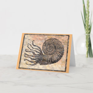 Ammonite Fossil Talking Canyons, New Mexico Card