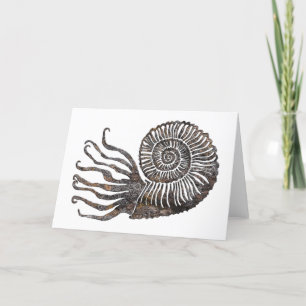 Ammonite Fossil Talking Canyons, New Mexico Card