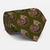 Ammonite Fossil