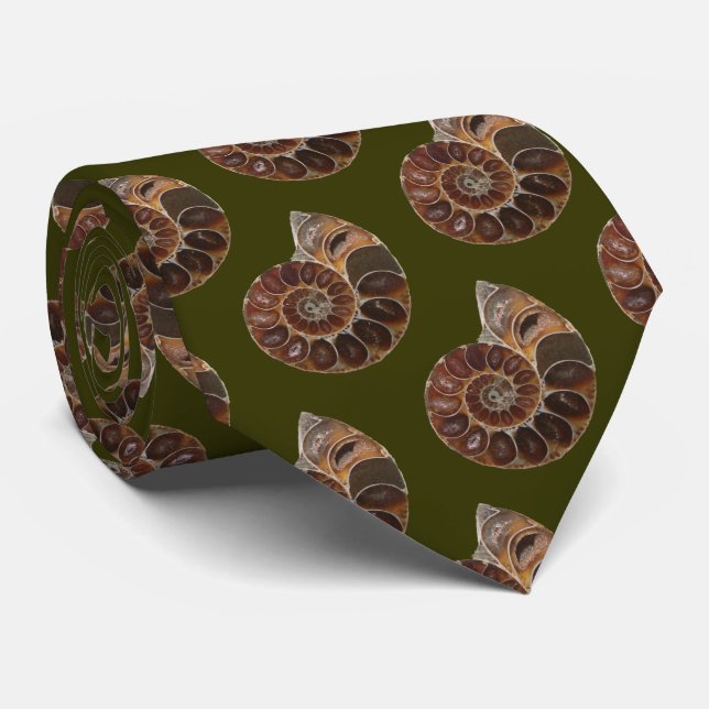 Ammonite Fossil Tie (Rolled)