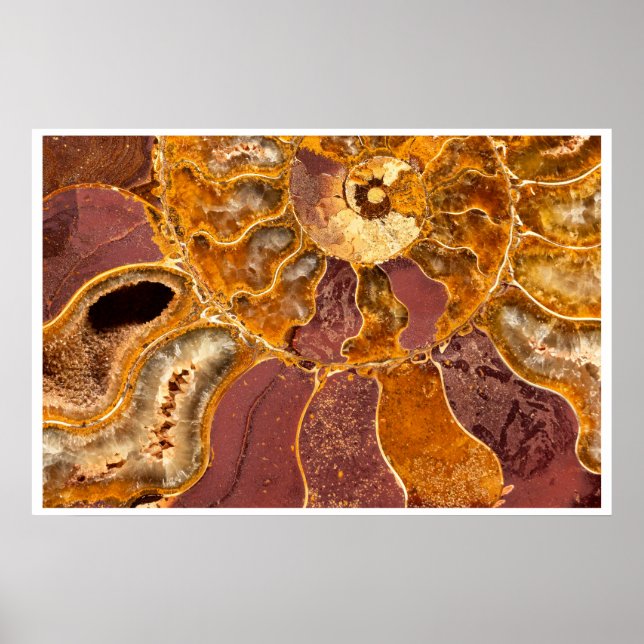 Ammonite Fossil Wall Art | Earth Tone Abstract (Front)