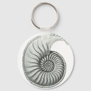 Ammonite Key Ring