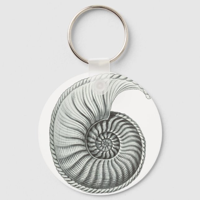 Ammonite Key Ring (Front)