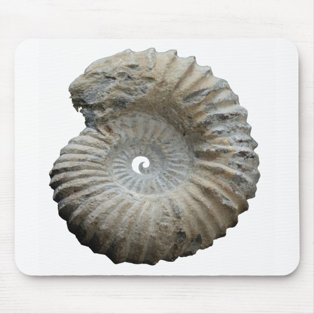 ammonite mouse pad (Front)