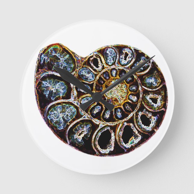 Ammonite Round Clock (Front)