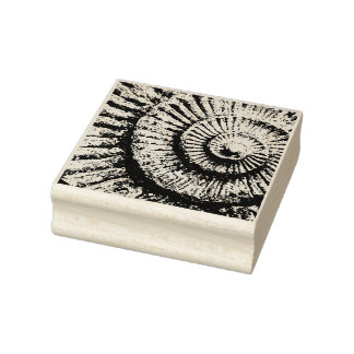 Ammonite texture  rubber stamp