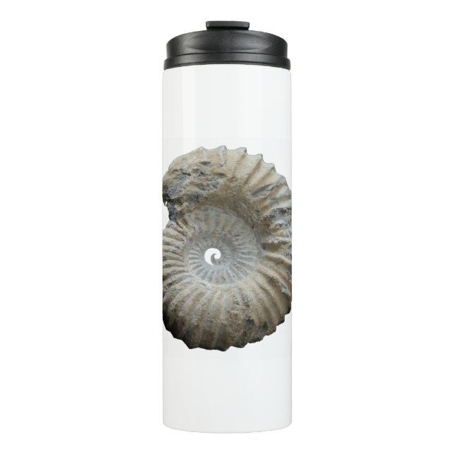 ammonite thermal tumbler (Front)