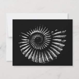 Ammonite White on Black Flat Holiday Card