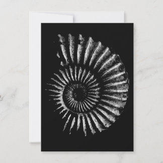 Ammonite white on black holiday card